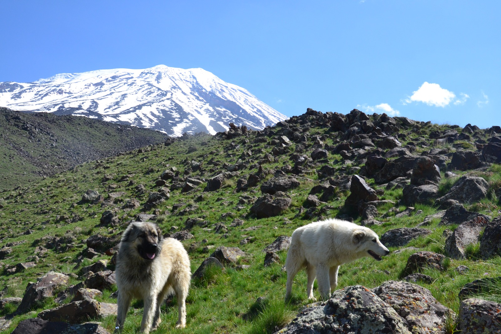 ararat-adventure-5