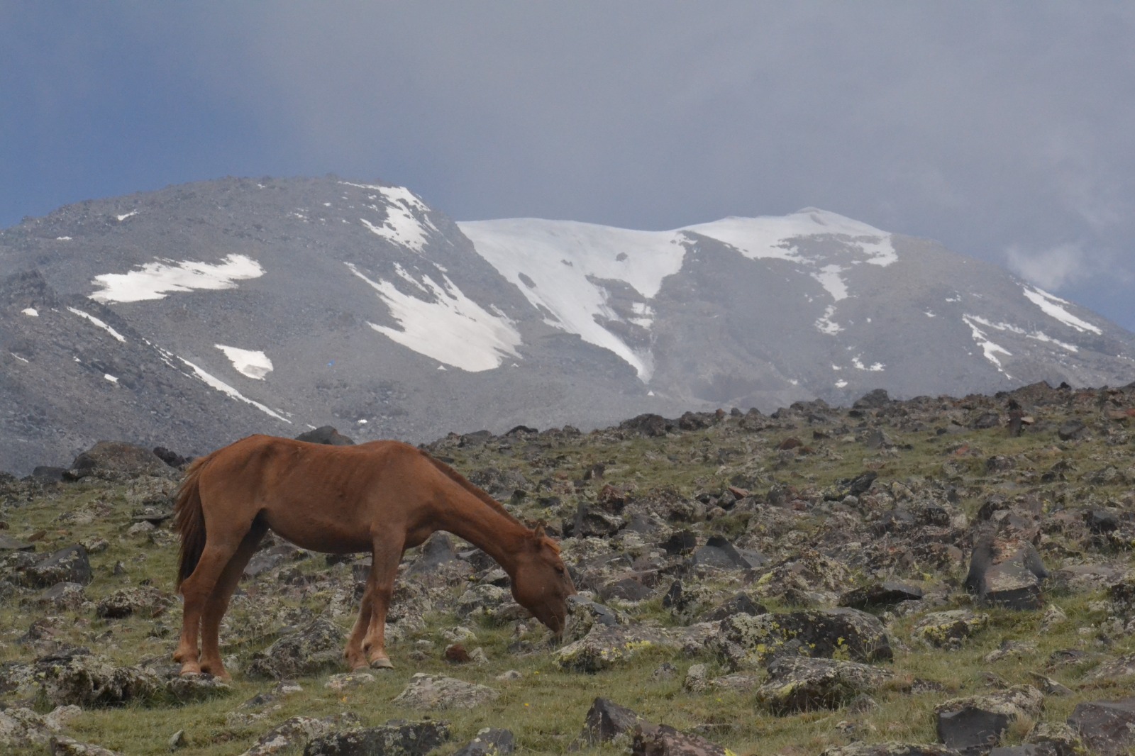 ararat-adventure-8